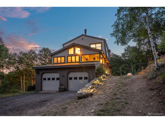67 Thistle Trl, Idaho Springs, CO 80452