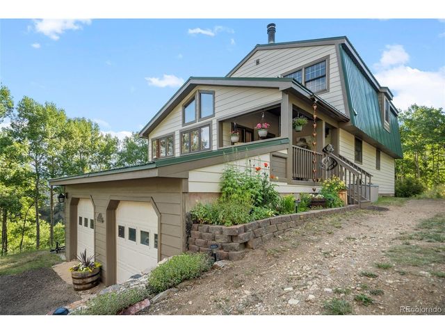 67 Thistle Trl, Idaho Springs, CO 80452