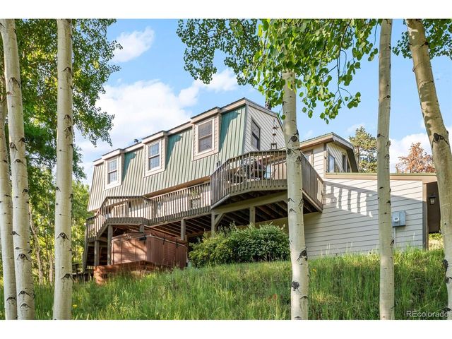 67 Thistle Trl, Idaho Springs, CO 80452