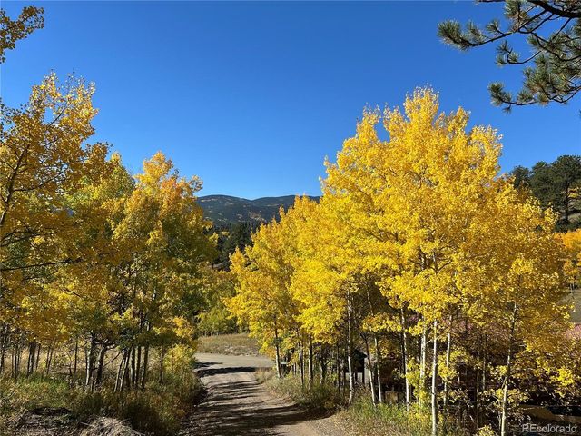 67 Thistle Trl, Idaho Springs, CO 80452