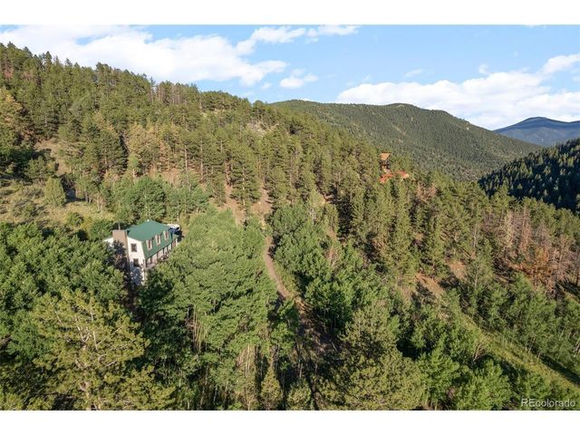 67 Thistle Trl, Idaho Springs, CO 80452