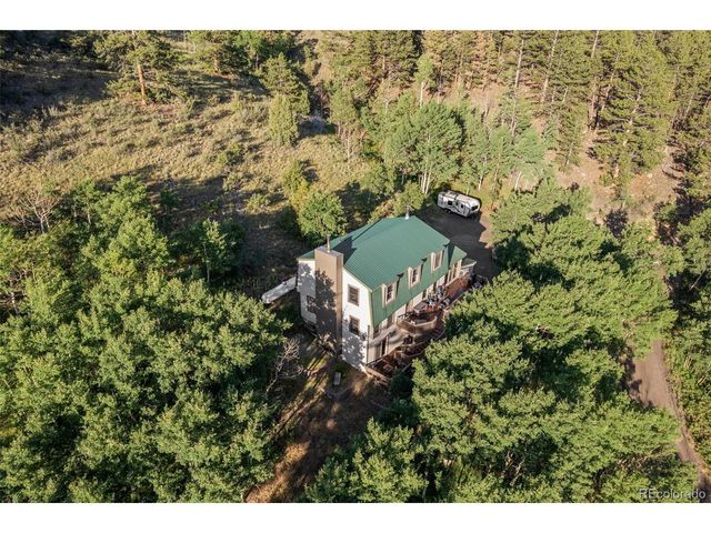 67 Thistle Trl, Idaho Springs, CO 80452