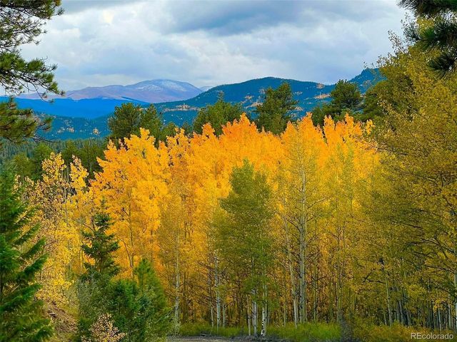 67 Thistle Trl, Idaho Springs, CO 80452