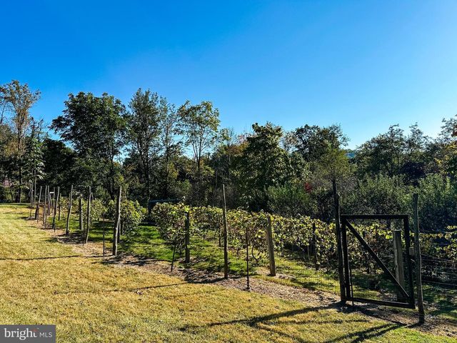 16805 JERICHO LN, Mount Savage, MD 21545