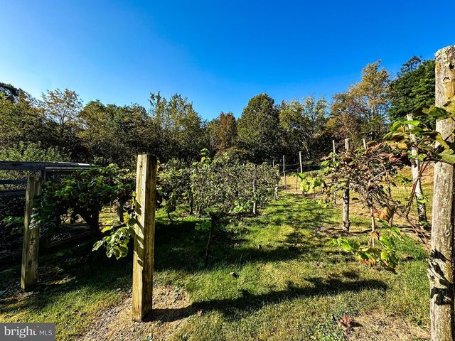 16805 JERICHO LN, Mount Savage, MD 21545