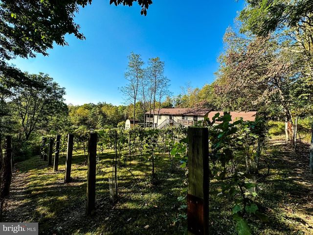 16805 JERICHO LN, Mount Savage, MD 21545