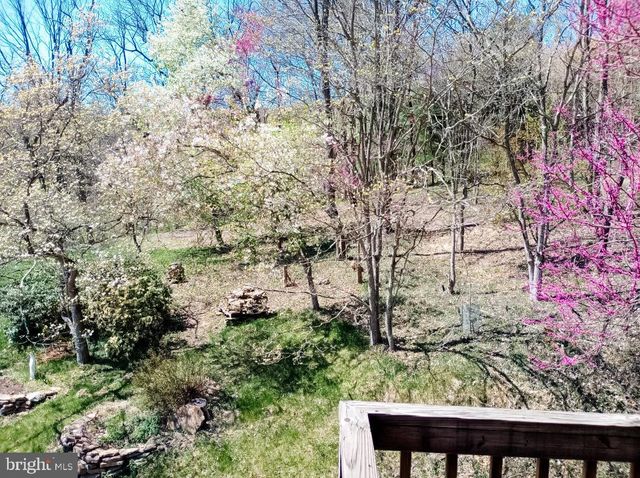 16805 JERICHO LN, Mount Savage, MD 21545