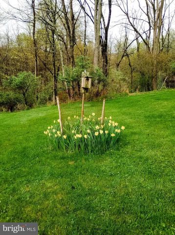 16805 JERICHO LN, Mount Savage, MD 21545