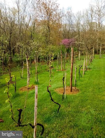 16805 JERICHO LN, Mount Savage, MD 21545