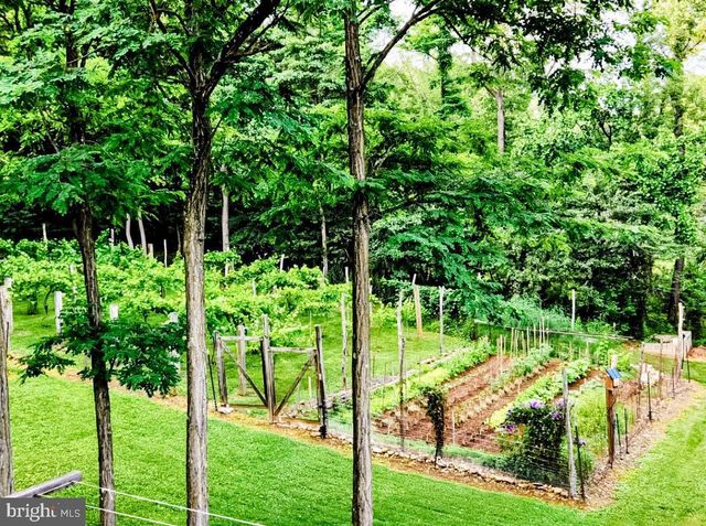 16805 JERICHO LN, Mount Savage, MD 21545