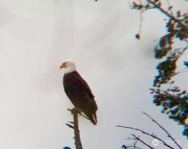 4302 77th Place NW, Tulalip, WA 98271