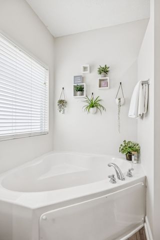 1443 Bern Dr, Spring Hill, TN 37174