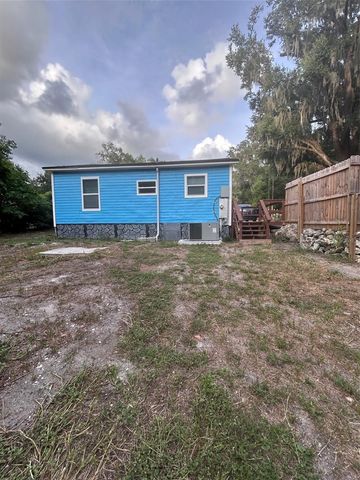 811 MERRIDALE AVENUE, Leesburg, FL 34748