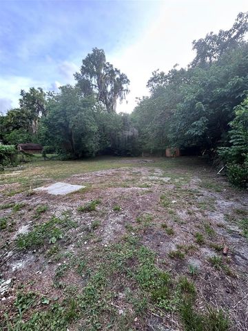 811 MERRIDALE AVENUE, Leesburg, FL 34748