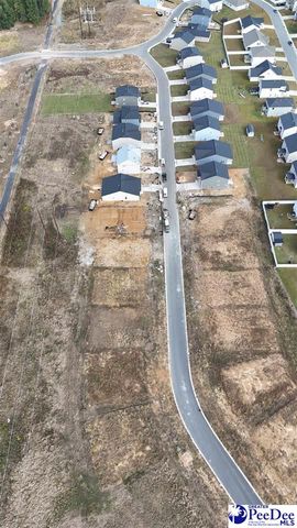 1181 Summer Duck Loop, Florence, SC 29501