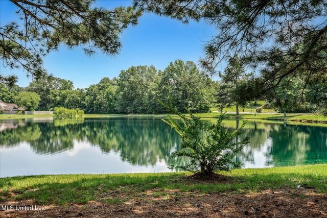 6193 Spring Hill Drive, Olive Branch, MS 38654