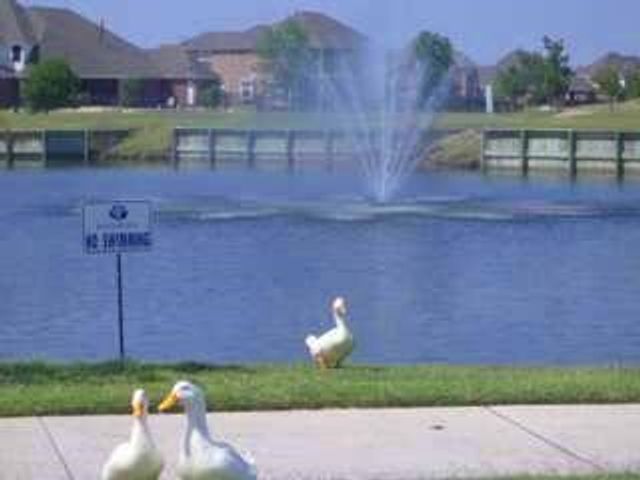 10809 Spyglass Hill, Rowlett, TX 75089