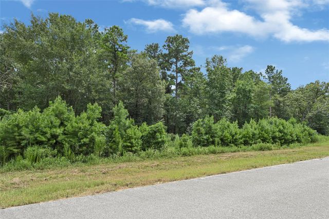 7-23-66 Sky Oak Lane, Huntsville, TX 77340