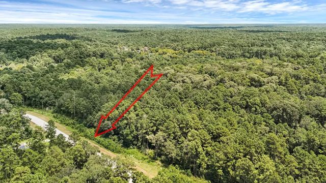 7-23-66 Sky Oak Lane, Huntsville, TX 77340