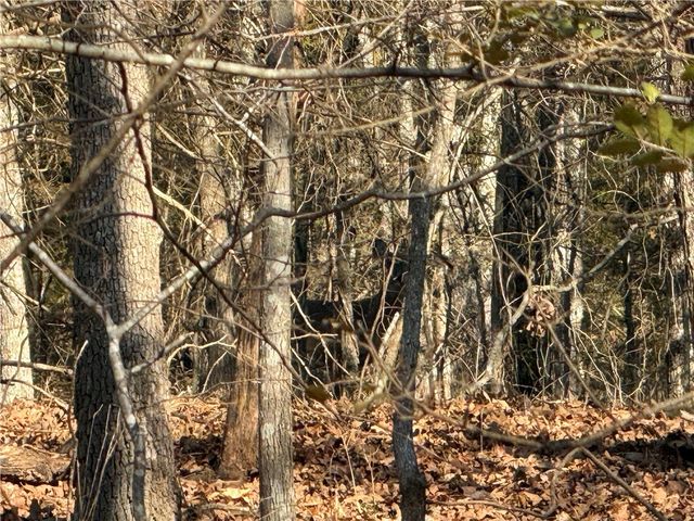 E 5th Street, Fayetteville, AR 72701