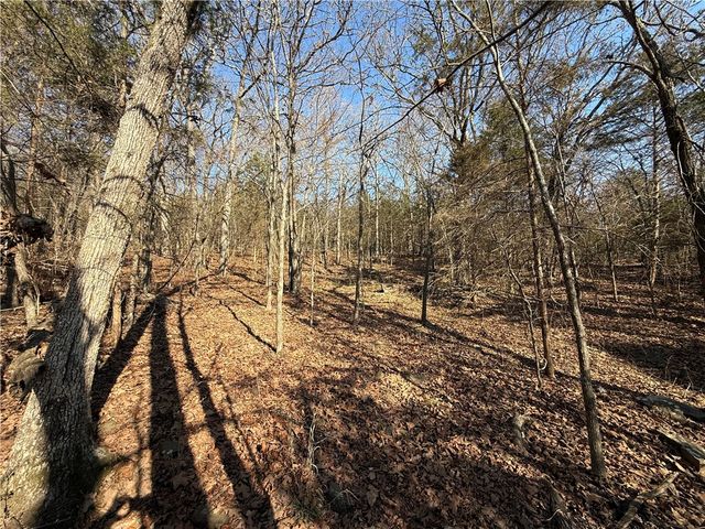 E 5th Street, Fayetteville, AR 72701