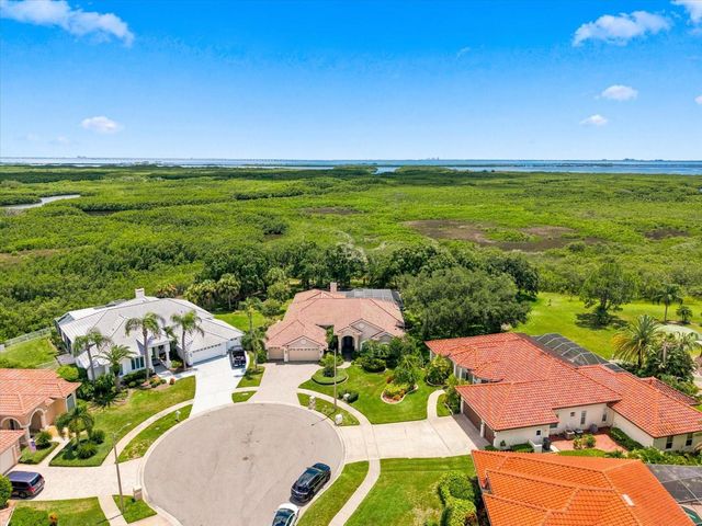 9802 MAKO COURT, Tampa, FL 33615