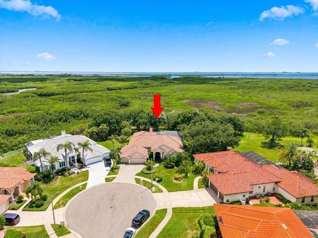 9802 MAKO COURT, Tampa, FL 33615