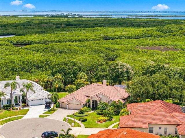 9802 MAKO COURT, Tampa, FL 33615