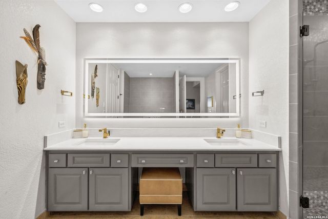 230 Dwyer Ave Unit 501, San Antonio, TX 78204