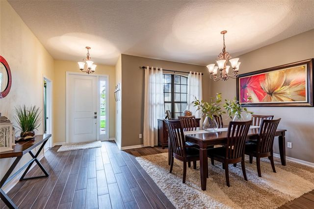 14815 NINEBARK COURT, Land O Lakes, FL 34638