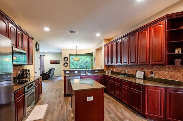 14815 NINEBARK COURT, Land O Lakes, FL 34638