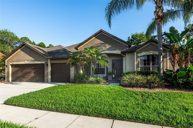 14815 NINEBARK COURT, Land O Lakes, FL 34638