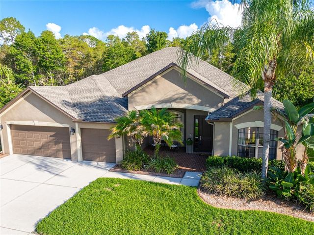 14815 NINEBARK COURT, Land O Lakes, FL 34638
