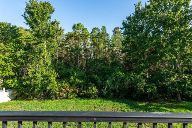 14815 NINEBARK COURT, Land O Lakes, FL 34638