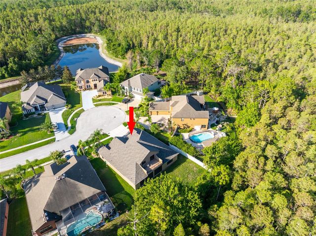 14815 NINEBARK COURT, Land O Lakes, FL 34638
