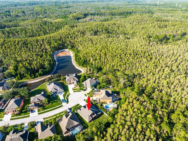 14815 NINEBARK COURT, Land O Lakes, FL 34638