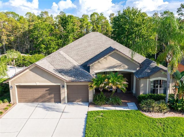 14815 NINEBARK COURT, Land O Lakes, FL 34638
