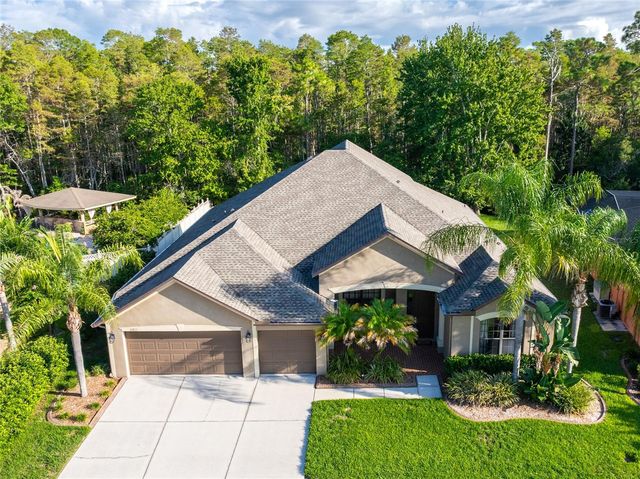 14815 NINEBARK COURT, Land O Lakes, FL 34638