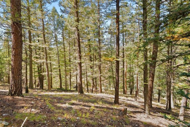 Lot 83 Conifer Drive, Evergreen, CO 80439