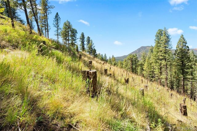 Lot 83 Conifer Drive, Evergreen, CO 80439