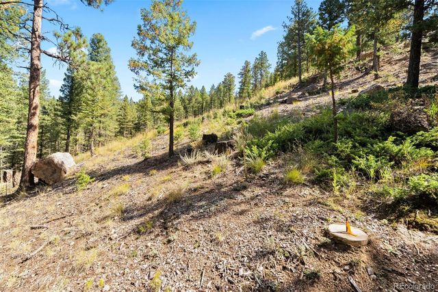 Lot 83 Conifer Drive, Evergreen, CO 80439