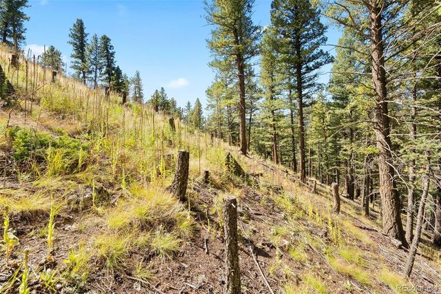 Lot 83 Conifer Drive, Evergreen, CO 80439