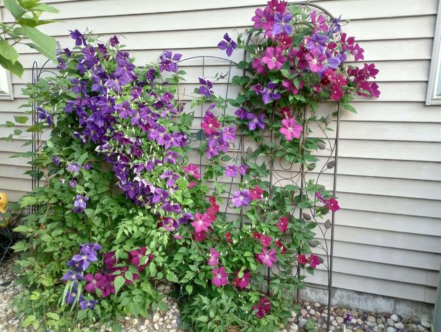 3215 Conservancy Estates Lane, Sun Prairie, WI 53590