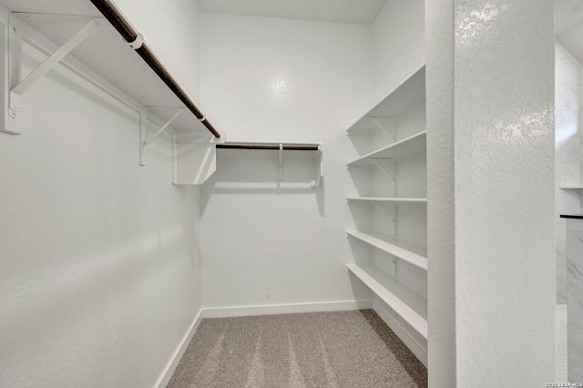 1664 Seekat, New Braunfels, TX 78132