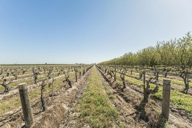 5290 N Bishop Avenue, Fresno, CA 93723