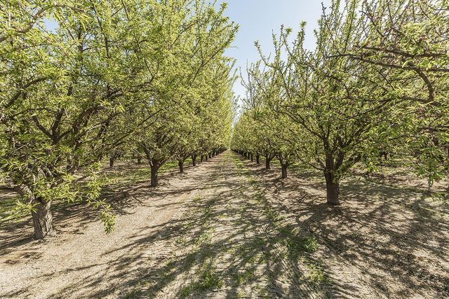 5290 N Bishop Avenue, Fresno, CA 93723