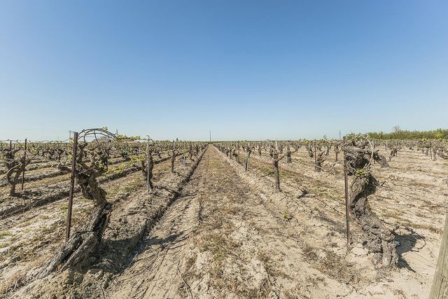 5290 N Bishop Avenue, Fresno, CA 93723