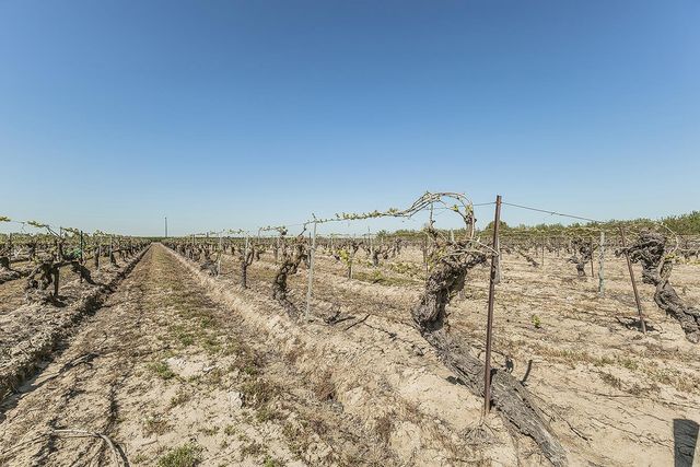 5290 N Bishop Avenue, Fresno, CA 93723