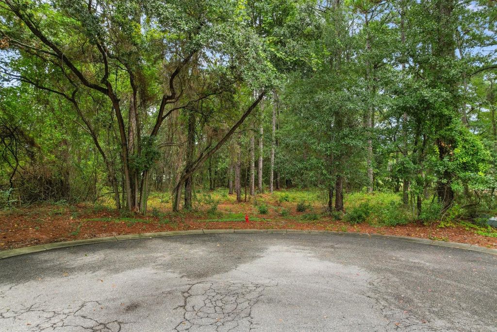 22 Vintage Ct., Pawleys Island, SC 29585 — photo 5