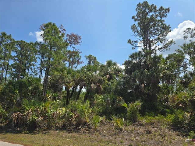 CLATTLEYA AVENUE, North Port, FL 34288